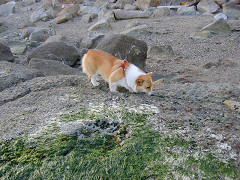 Resize of SANY1005_thumb.jpg